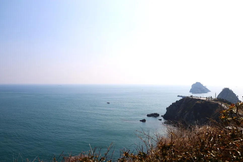 2%EC%9B%9426%EC%9D%BC_(12).JPG?type=w966