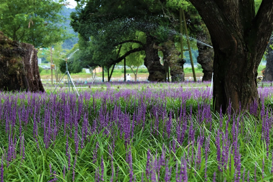 SE-ecc5b525-780e-4e1c-a7a1-76b0dff41f63.jpg?type=w1