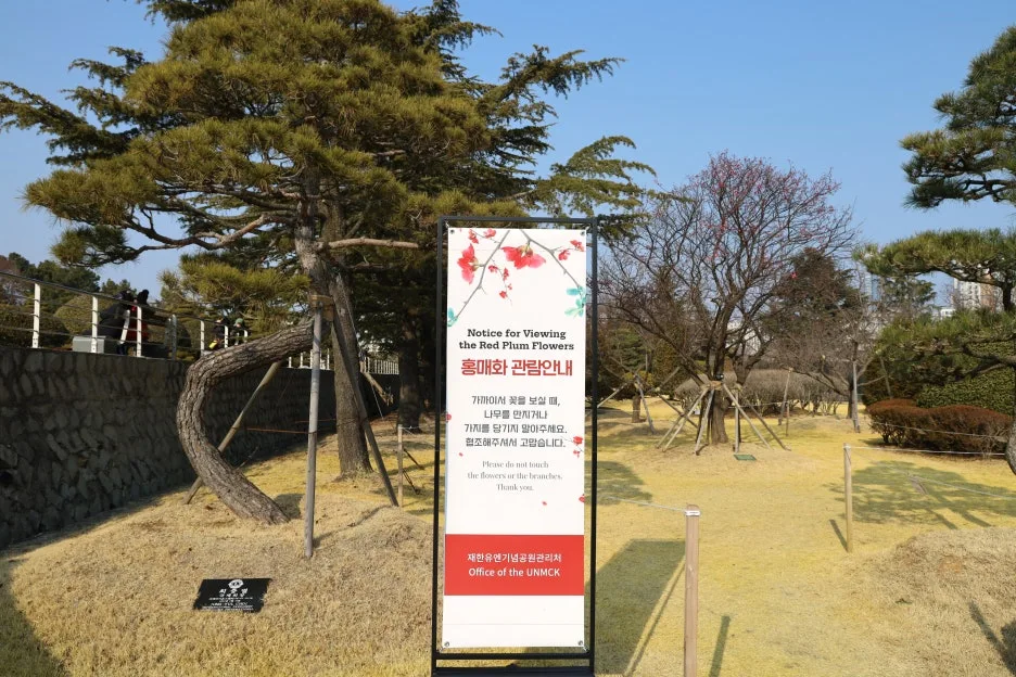 2%EC%9B%9426%EC%9D%BC_(150).JPG?type=w1