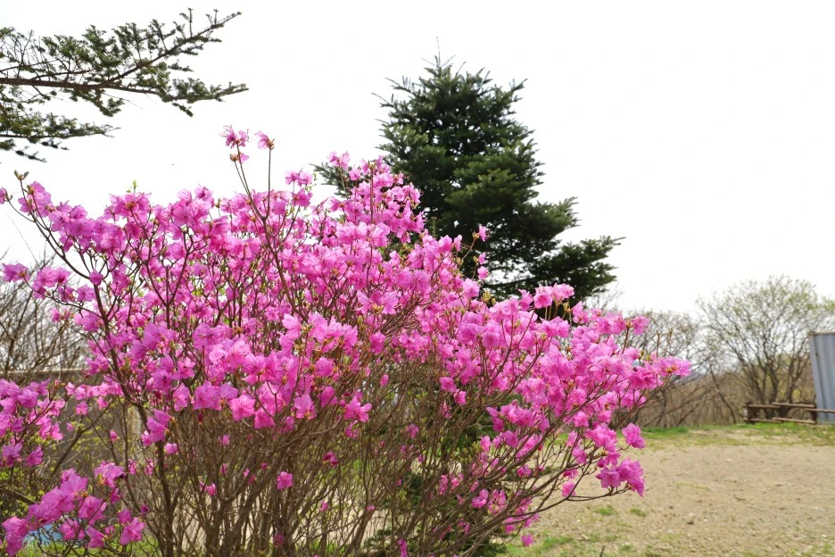 4%EC%9B%9428%EC%9D%BC_(162).JPG?type=w1