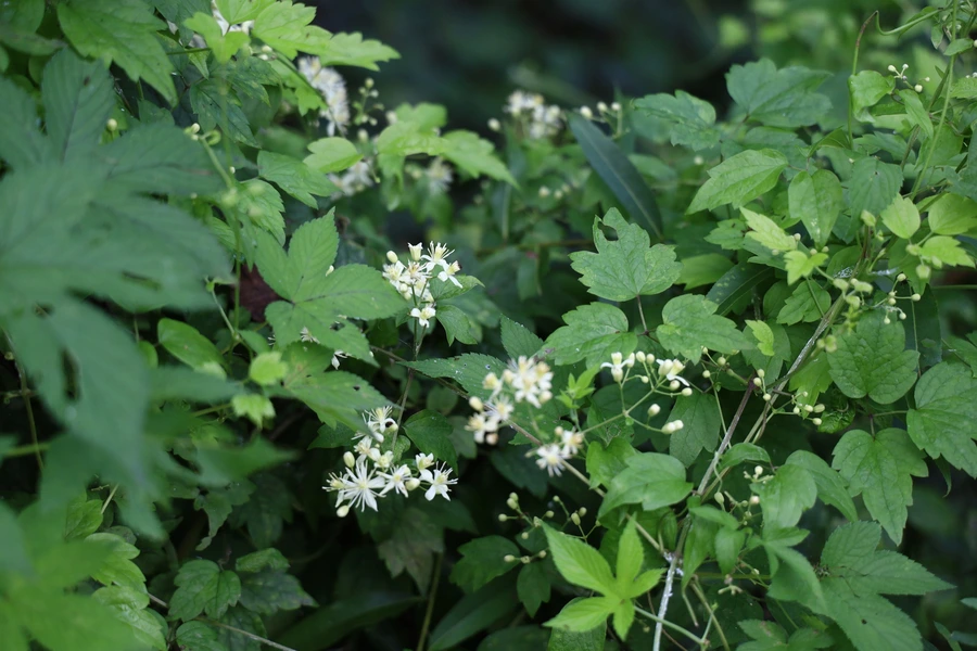 SE-e88946fa-5be0-4b74-8fe1-550643a4fcaf.jpg?type=w1