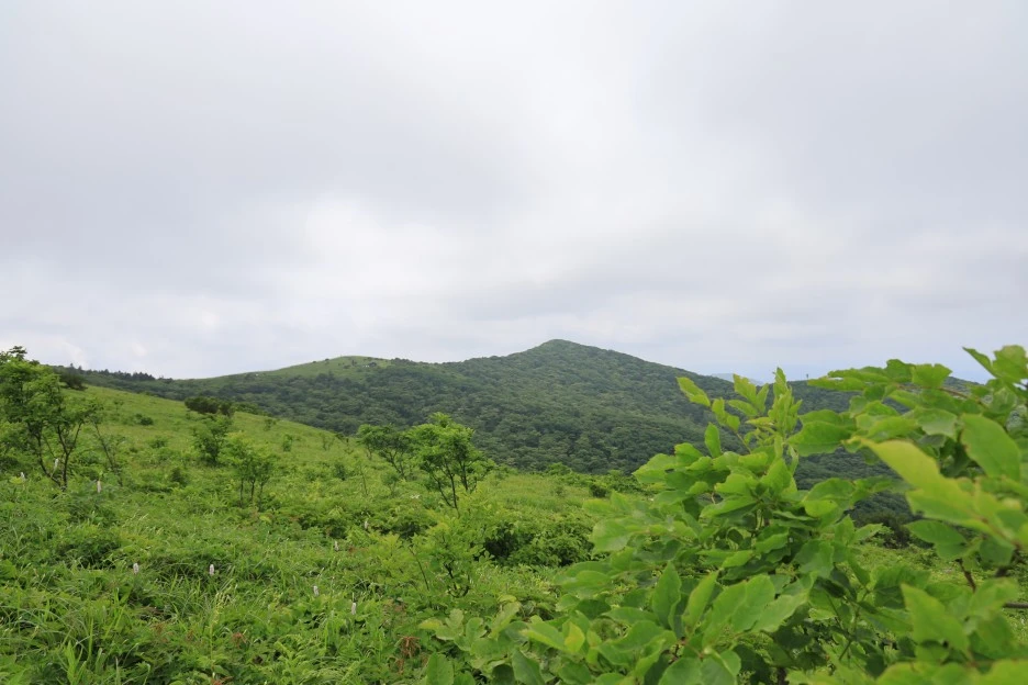 6%EC%9B%9428%EC%9D%BC_(174).JPG?type=w1