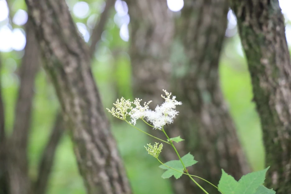 6%EC%9B%9428%EC%9D%BC_(143).JPG?type=w1