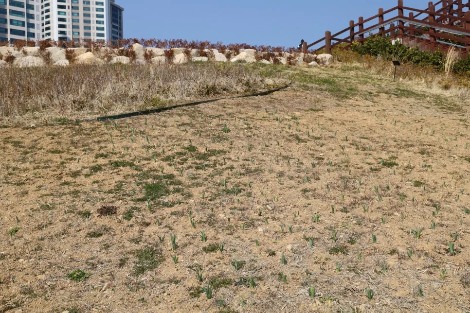 2%EC%9B%9426%EC%9D%BC_(8).JPG?type=w966