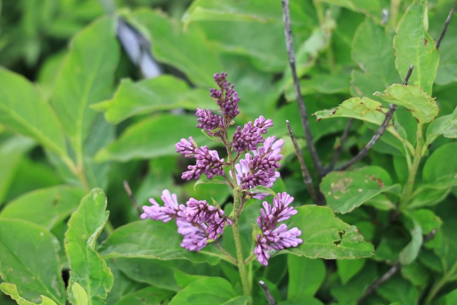 6%EC%9B%9414%EC%9D%BC_(247).JPG?type=w1