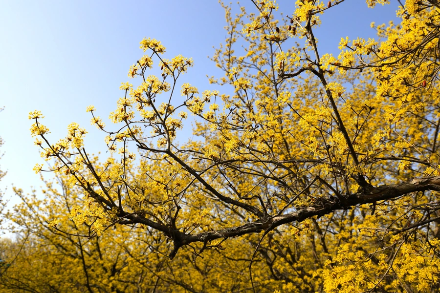 SE-5da364a2-914e-4a90-be68-dfc03f9891a3.jpg?type=w1