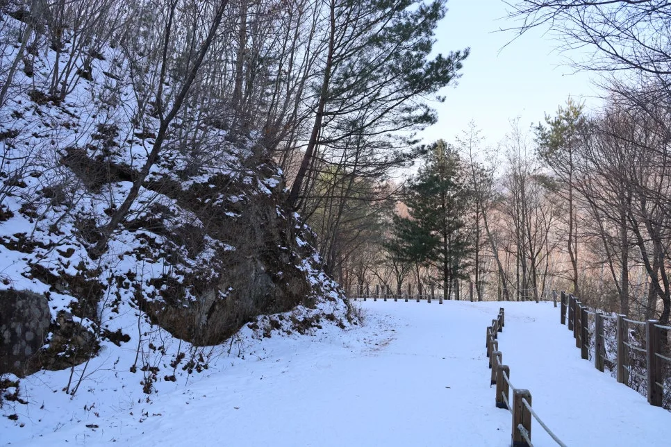 12%EC%9B%9426%EC%9D%BC_(109).JPG?type=w966