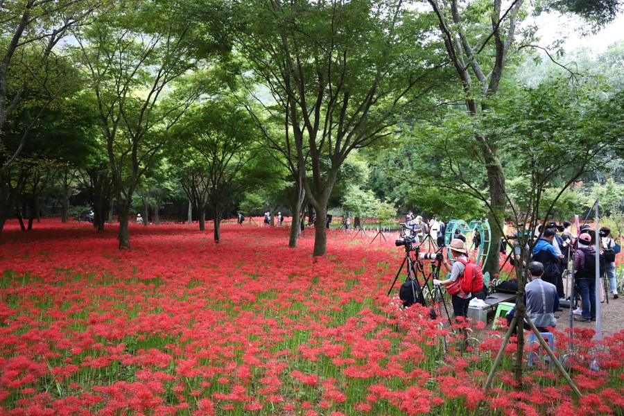 SE-5ebb8a3d-109f-4728-84cf-ec424d4ef078.jpg?type=w1