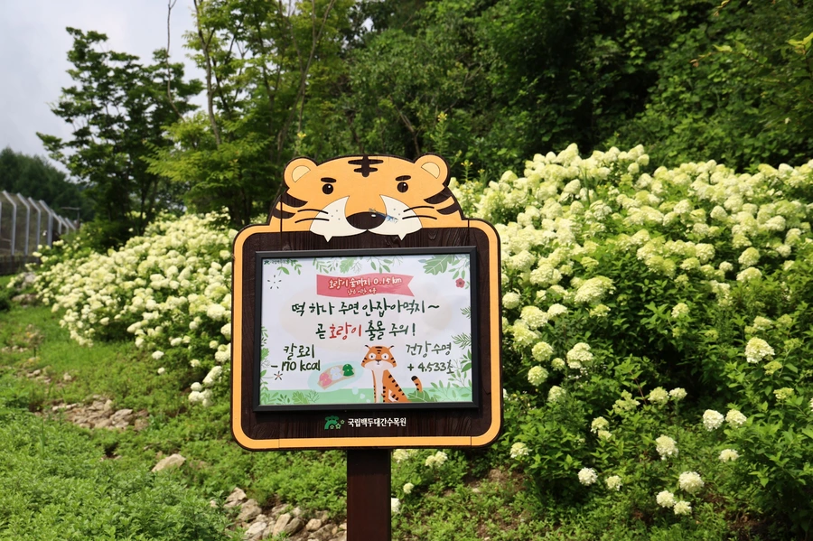 SE-12019432-97c5-4c77-a118-fae208254b94.jpg?type=w1