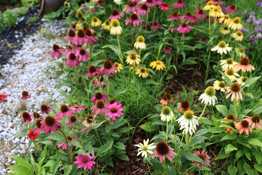 SE-c3c4507e-186b-4c6f-b8f0-86bf5f3ca6bb.jpg?type=w1