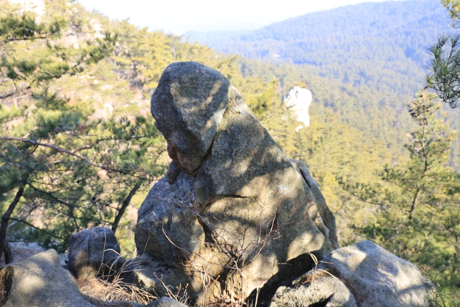 SE-ddda93d0-b77f-49b3-8f7e-13df87d56399.jpg?type=w1