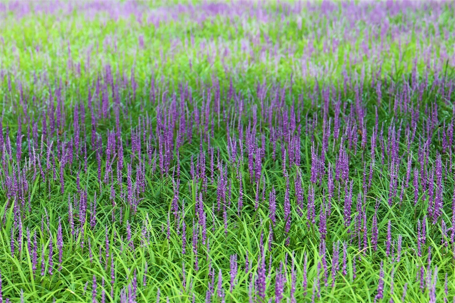 SE-c84b9bd1-9120-43be-bd54-a414cffd30cb.jpg?type=w1