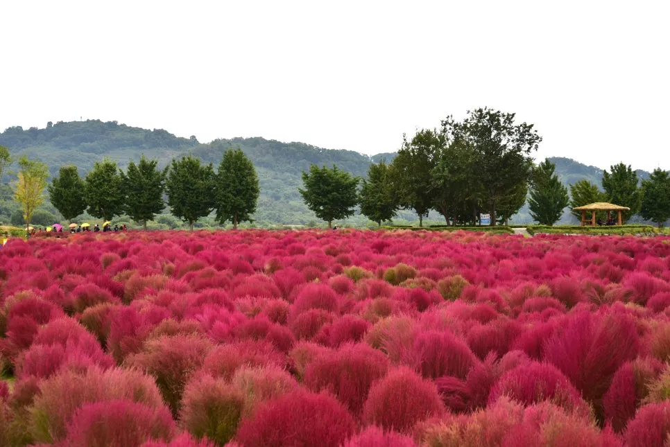 10%EC%9B%9414%EC%9D%BC_(55).JPG?type=w966