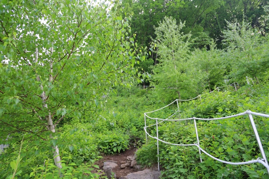 5%EC%9B%9410%EC%9D%BC_(17).JPG?type=w1