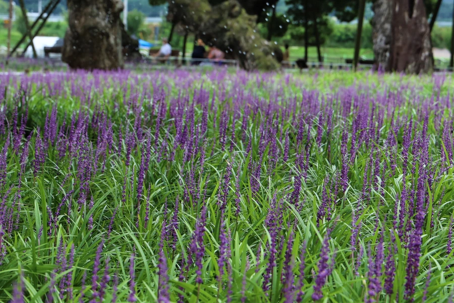 SE-b40dc833-96ca-4fe1-8510-b05b88285663.jpg?type=w1