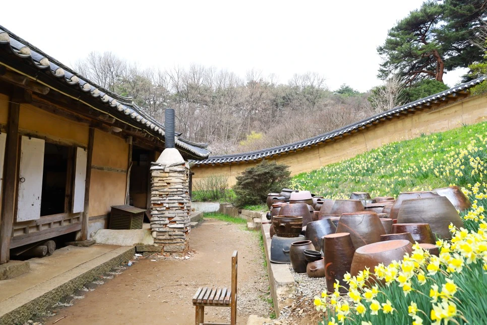 4%EC%9B%945%EC%9D%BC_(12).JPG?type=w966