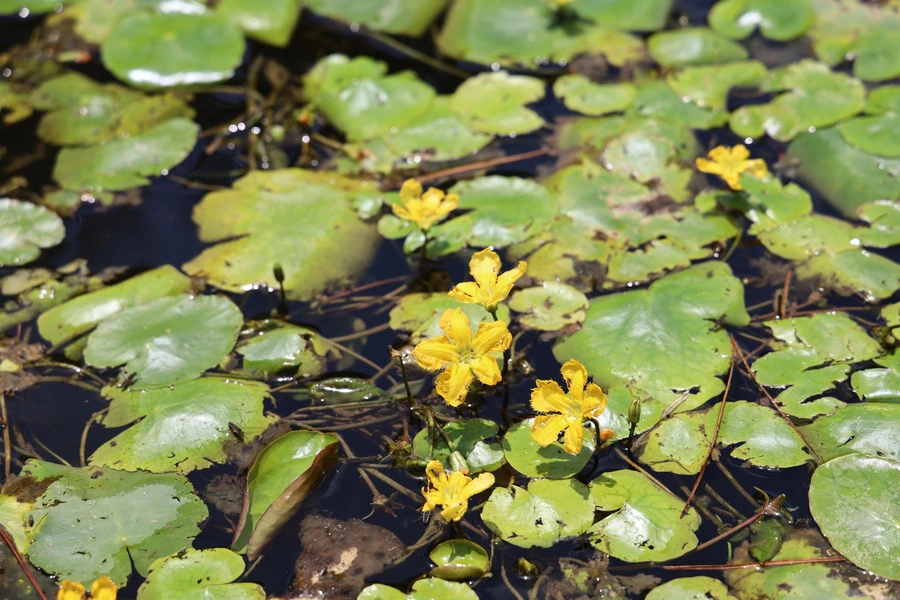 SE-7bb504db-e15b-4339-a201-2a04ba561aa1.jpg?type=w1