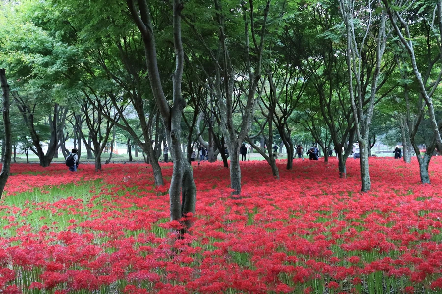 SE-0cfe68dc-377f-4bc6-9911-efb075063510.jpg?type=w1