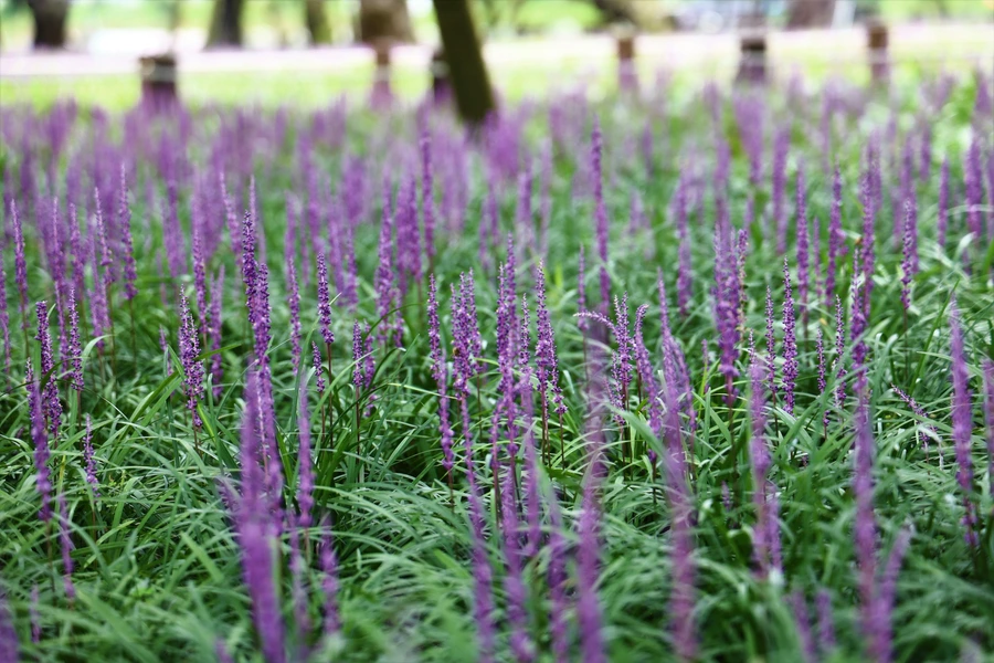 SE-9ea08ffa-26fe-4acf-8c99-eaef96c1e977.jpg?type=w1