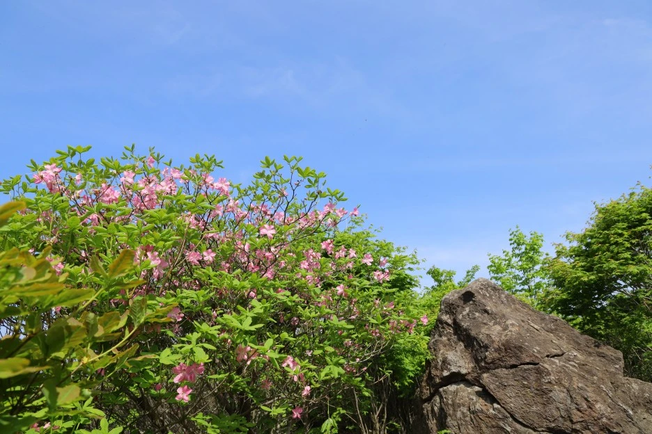 5%EC%9B%9410%EC%9D%BC_(66).JPG?type=w1