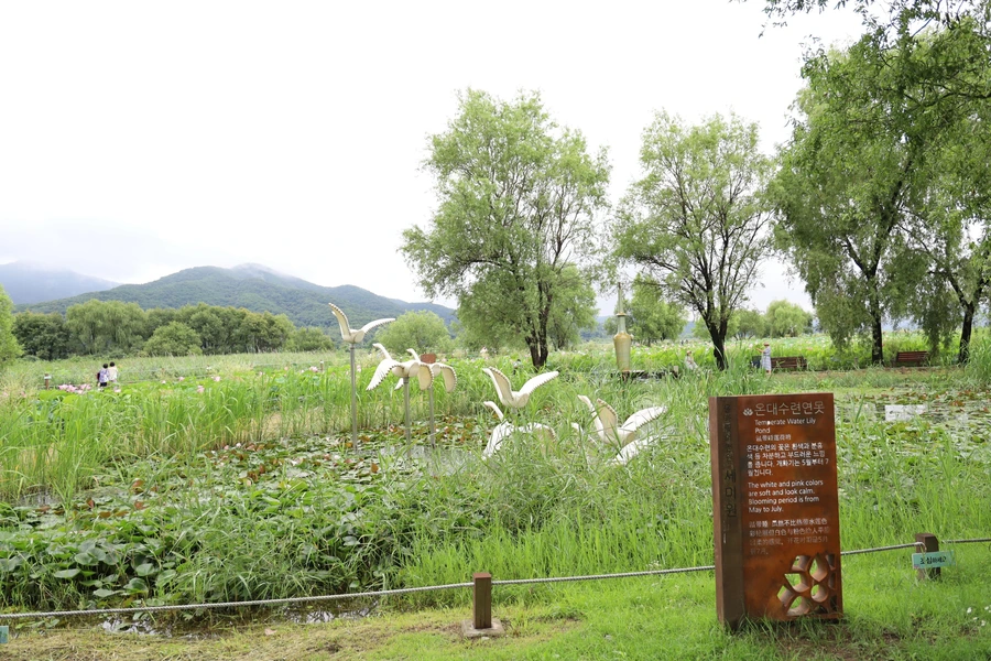 SE-5b9a13d4-d390-430f-b4f7-06bb81fcafa3.jpg?type=w1