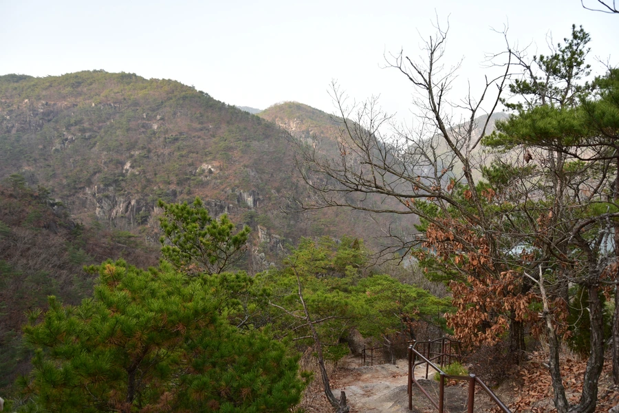 SE-f64924b6-004c-40ef-a2a6-a56f72030521.jpg?type=w1