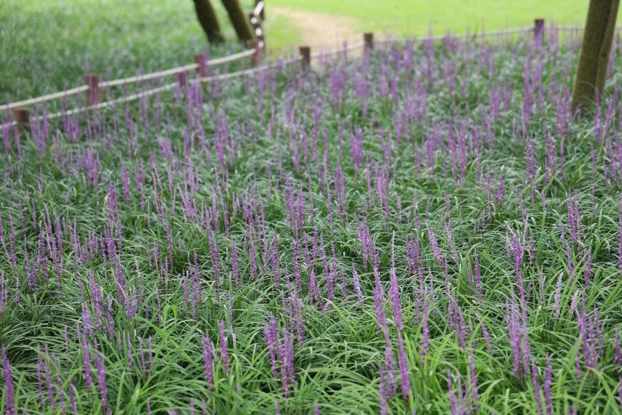 SE-0ff583bf-7925-4523-a1c2-b120031cebdf.jpg?type=w1