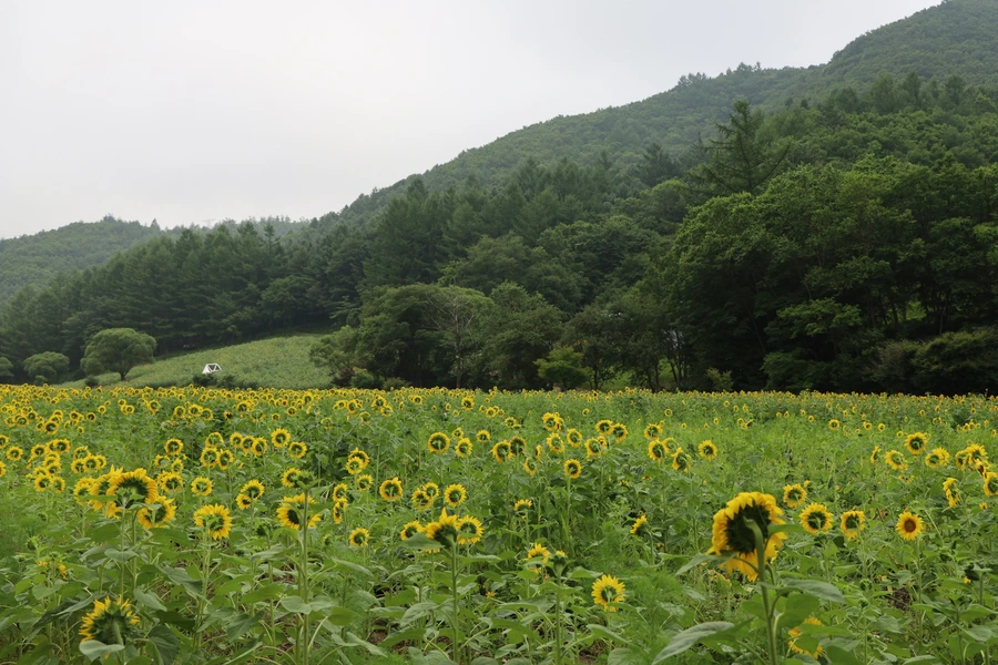 SE-f823f89f-32b5-420c-a23e-1508918c3e37.jpg?type=w1