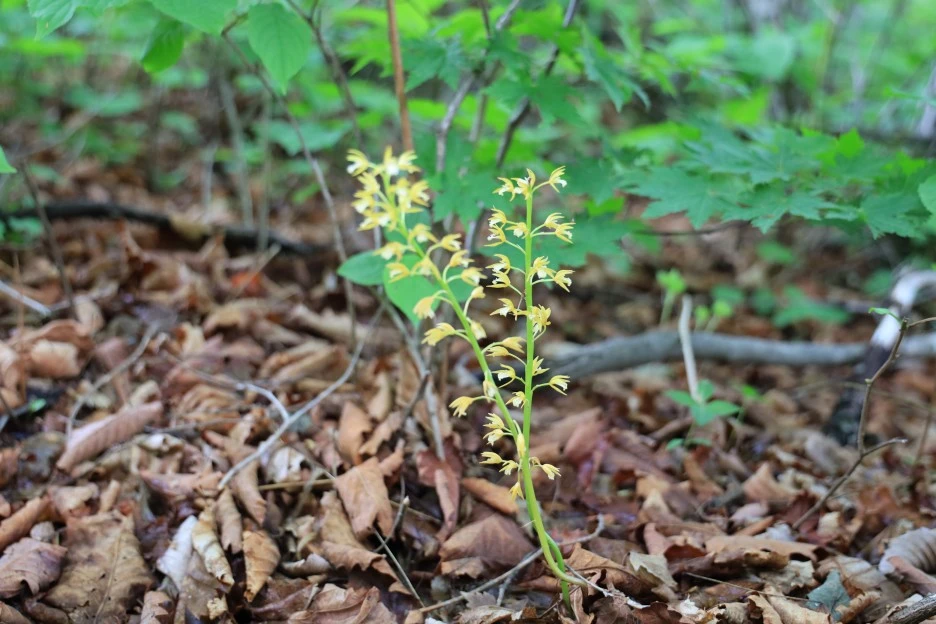 6%EC%9B%9414%EC%9D%BC_(302).JPG?type=w1