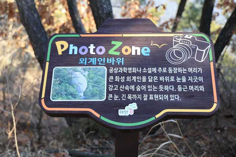 SE-5d77b2f7-7e5e-4199-8060-7e2290773099.jpg?type=w1