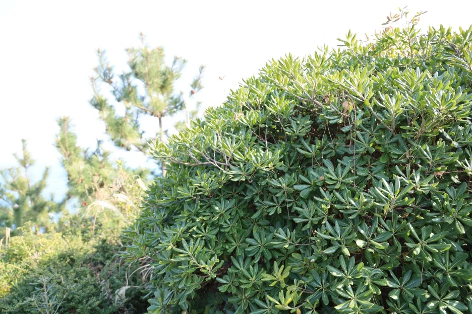 2%EC%9B%9426%EC%9D%BC_(137).JPG?type=w1