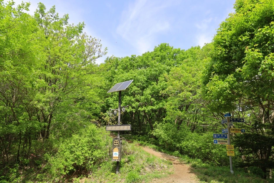 5%EC%9B%9410%EC%9D%BC_(97).JPG?type=w1