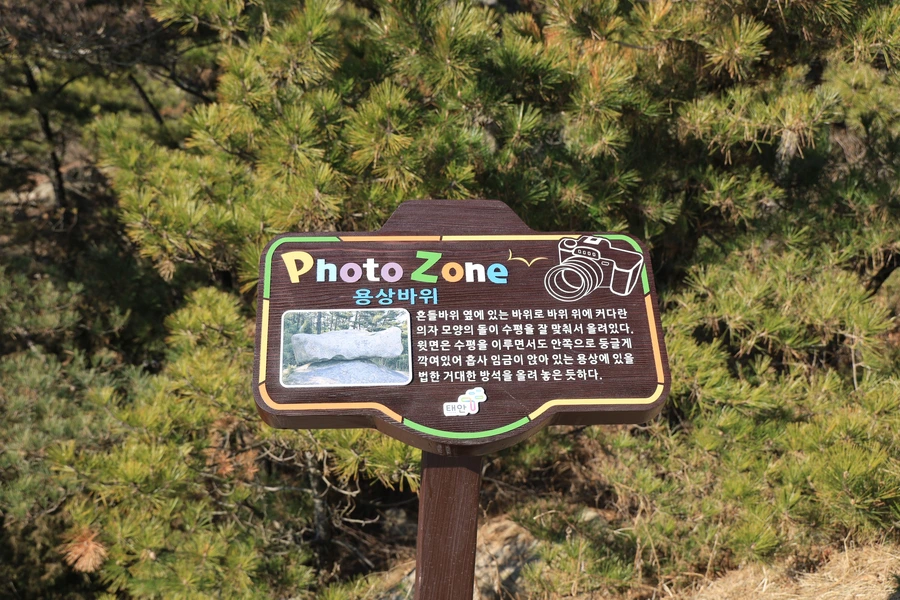 SE-3fd7a7cc-6a02-401c-b1e2-0358095f84ee.jpg?type=w1