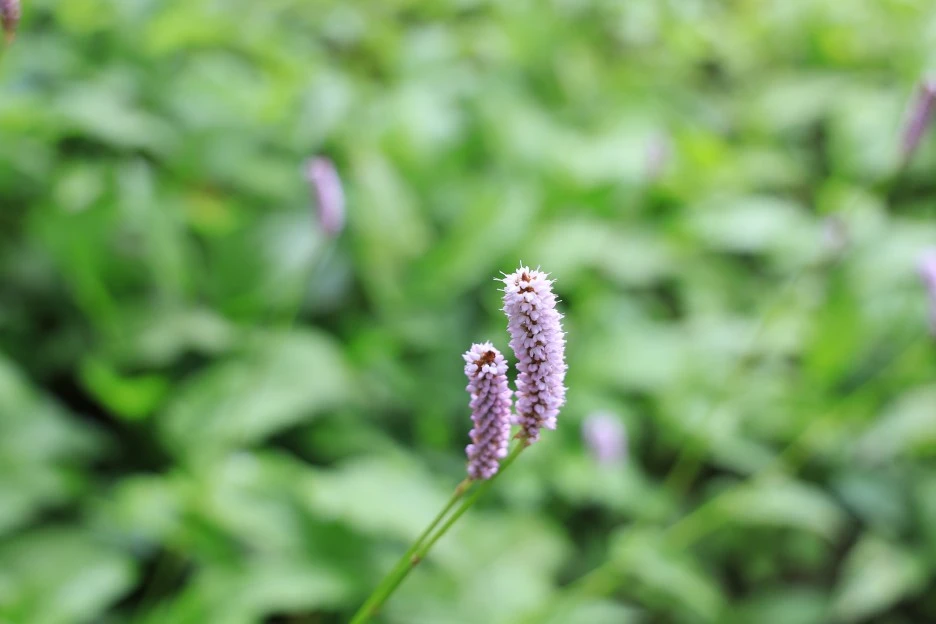 6%EC%9B%9414%EC%9D%BC_(115).JPG?type=w1