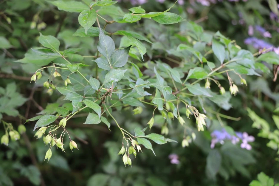 6%EC%9B%9428%EC%9D%BC_(13).JPG?type=w1