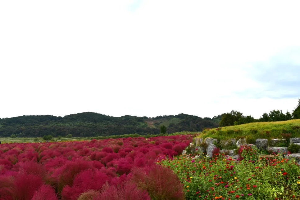 10%EC%9B%9414%EC%9D%BC_(25).JPG?type=w966