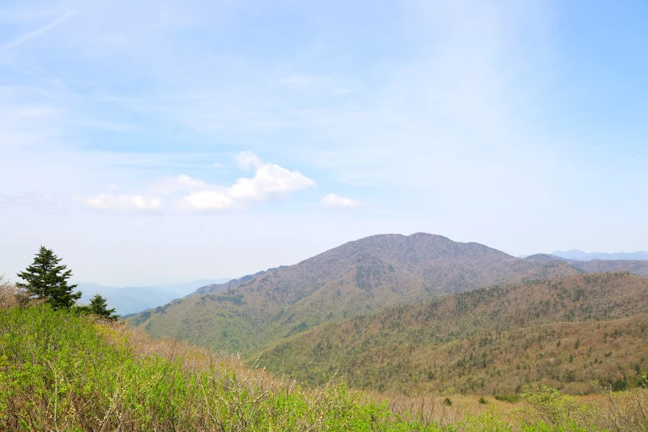 4%EC%9B%9428%EC%9D%BC_(32).JPG?type=w1