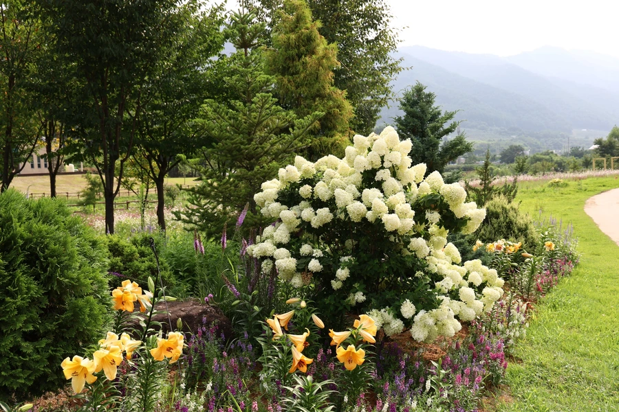 SE-236d365f-4a80-4a18-ba71-fca38d899606.jpg?type=w1