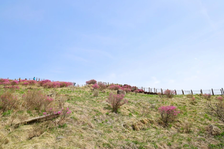 4%EC%9B%9428%EC%9D%BC_(76).JPG?type=w1