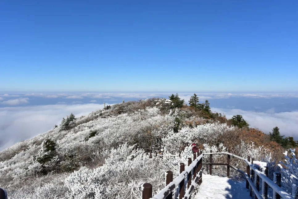 11%EC%9B%9426%EC%9D%BC_(115).JPG?type=w966