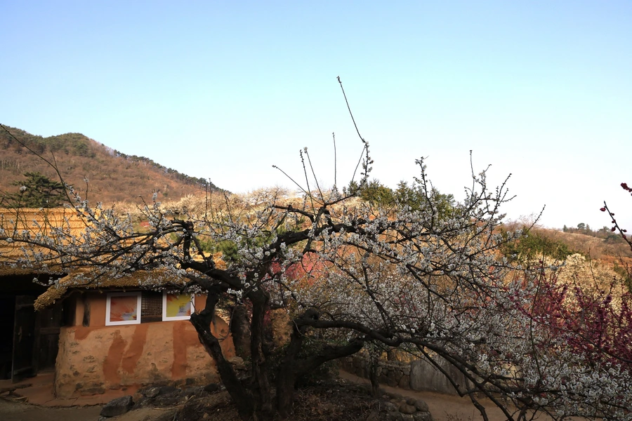 SE-f8d9a662-548d-4034-9532-c036208b12a7.jpg?type=w1