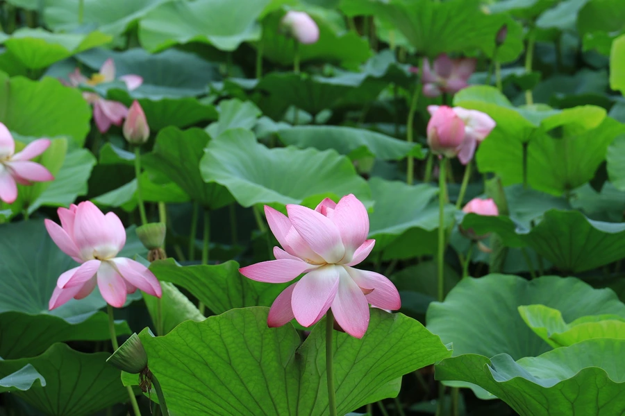 SE-c3b9c655-aadf-466f-8104-442b6643fbb0.jpg?type=w1