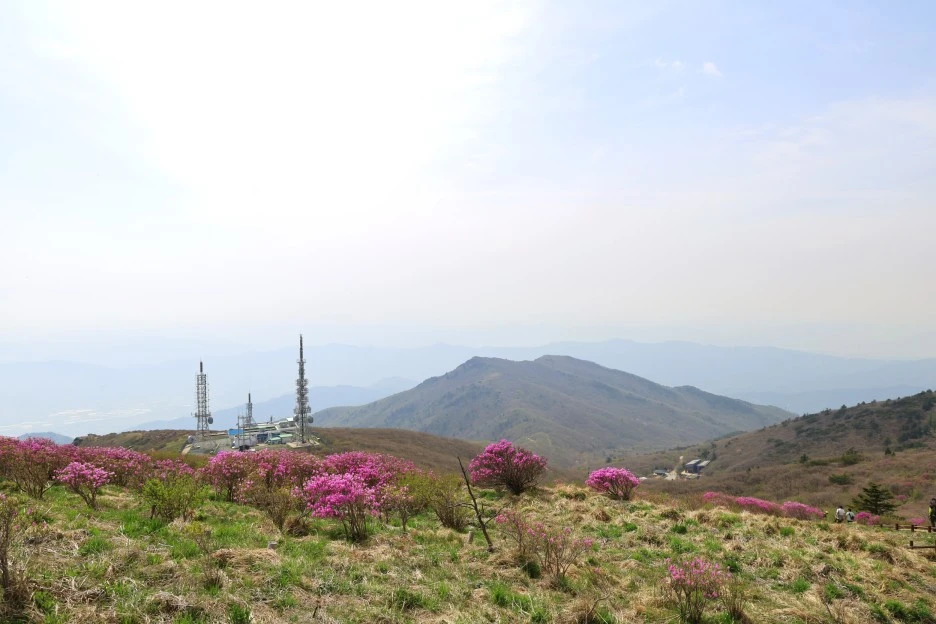 4%EC%9B%9428%EC%9D%BC_(128).JPG?type=w1