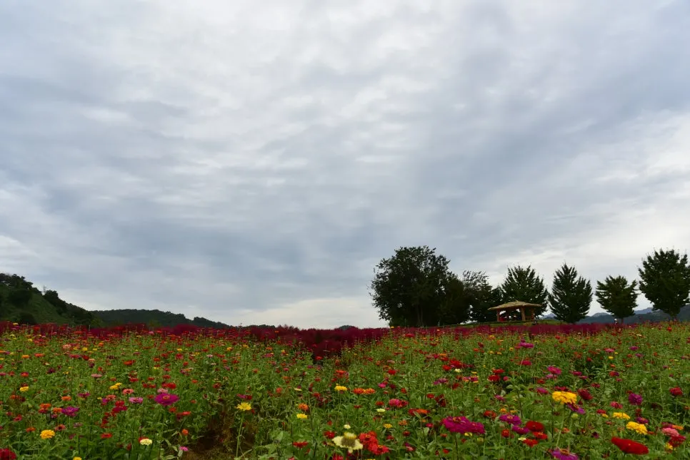 10%EC%9B%9414%EC%9D%BC_(80).JPG?type=w966