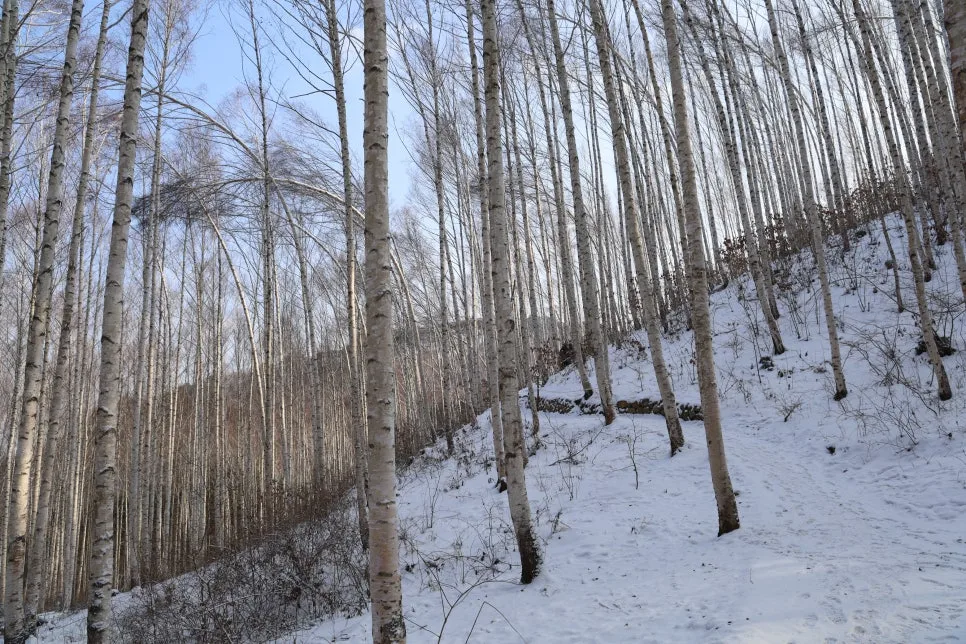 12%EC%9B%9426%EC%9D%BC_(18).JPG?type=w966