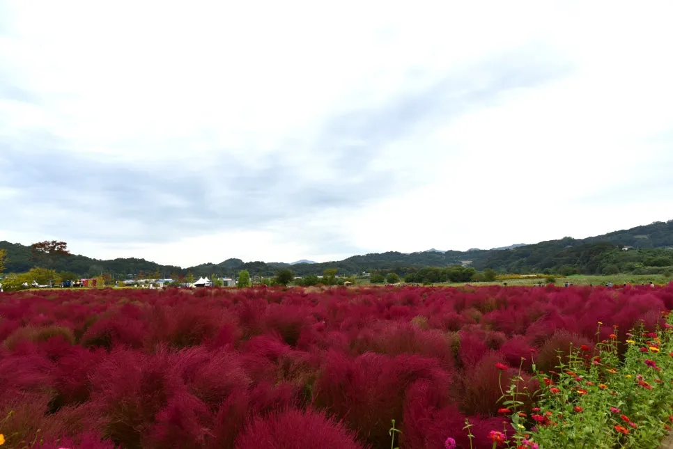 10%EC%9B%9414%EC%9D%BC_(82).JPG?type=w966