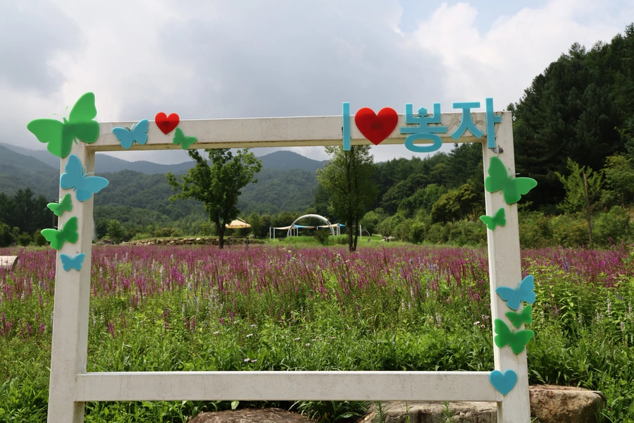 SE-31fa02b6-6821-4d0b-9738-e0f0a7dff393.jpg?type=w1