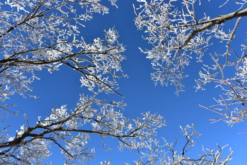 11%EC%9B%9426%EC%9D%BC_(68).JPG?type=w966