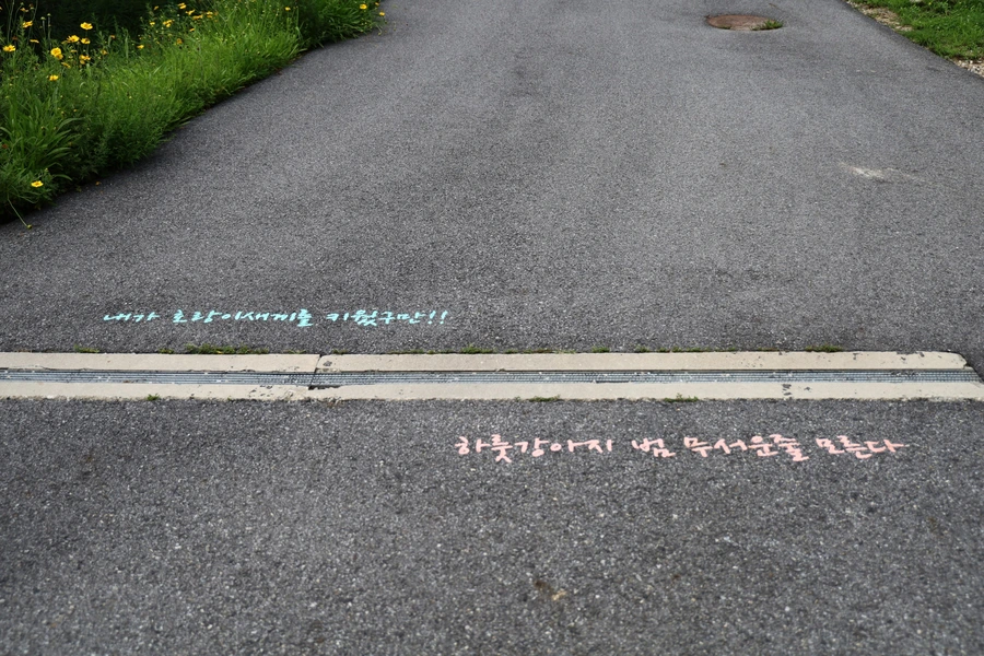 SE-046d5f9c-1f13-4566-b8b7-f1f3ecb0f421.jpg?type=w1