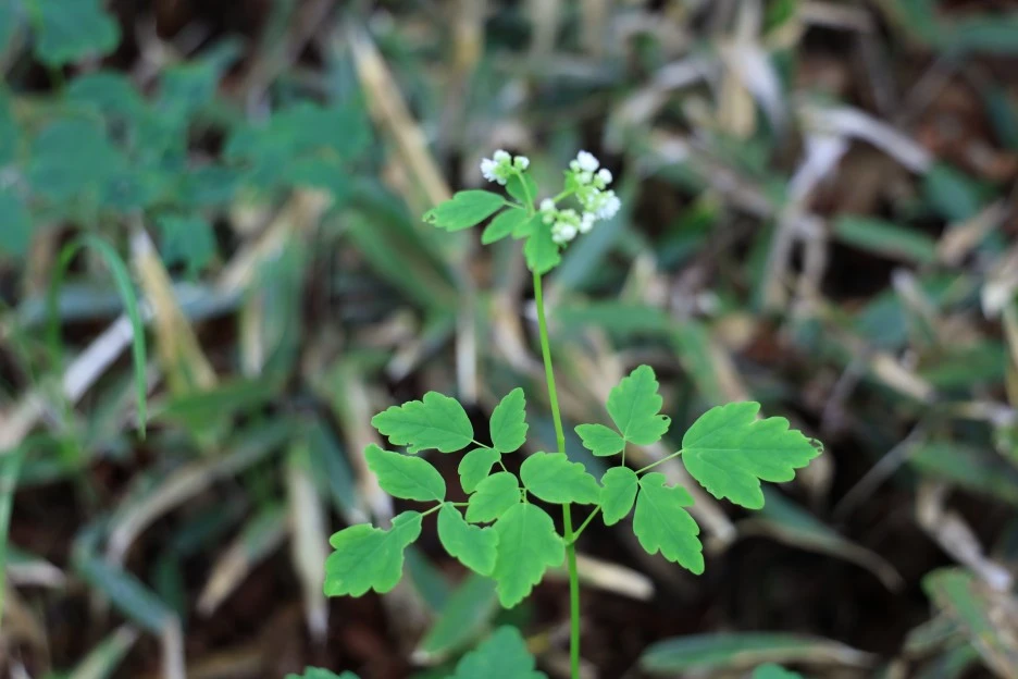 6%EC%9B%9414%EC%9D%BC_(22).JPG?type=w1